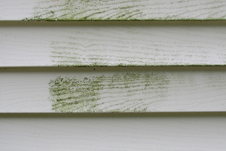 Placeholder Project Title 2 Thumbnail